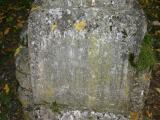 image of grave number 67441